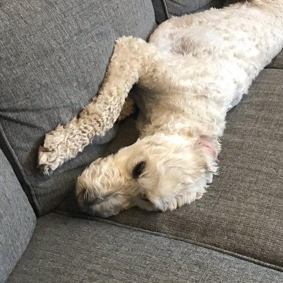 Meet your Posher, Jane - Picture 1 of 1